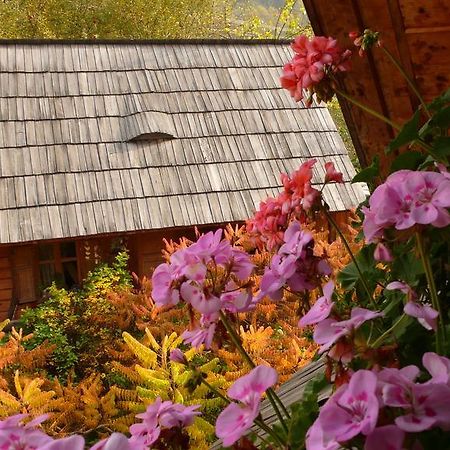 Woodenhouse Maramures Vişeu de Sus Eksteriør bilde