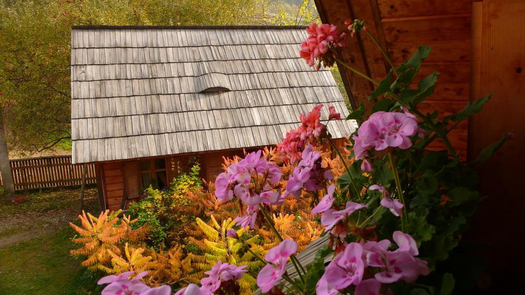Woodenhouse Maramures Vişeu de Sus Eksteriør bilde