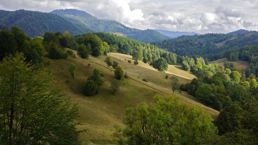 Woodenhouse Maramures Vişeu de Sus Eksteriør bilde