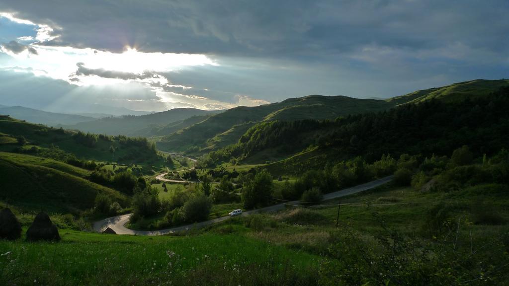 Woodenhouse Maramures Vişeu de Sus Eksteriør bilde