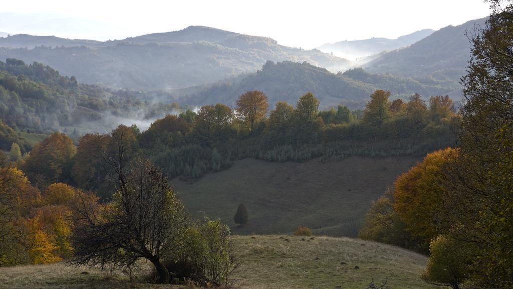 Woodenhouse Maramures Vişeu de Sus Eksteriør bilde