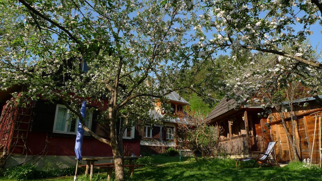 Woodenhouse Maramures Vişeu de Sus Eksteriør bilde