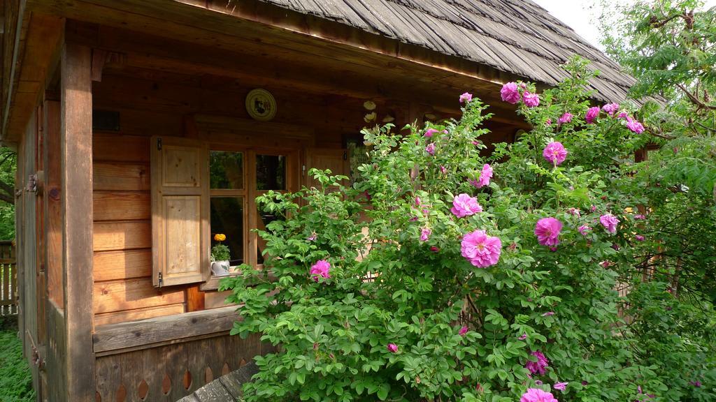 Woodenhouse Maramures Vişeu de Sus Eksteriør bilde