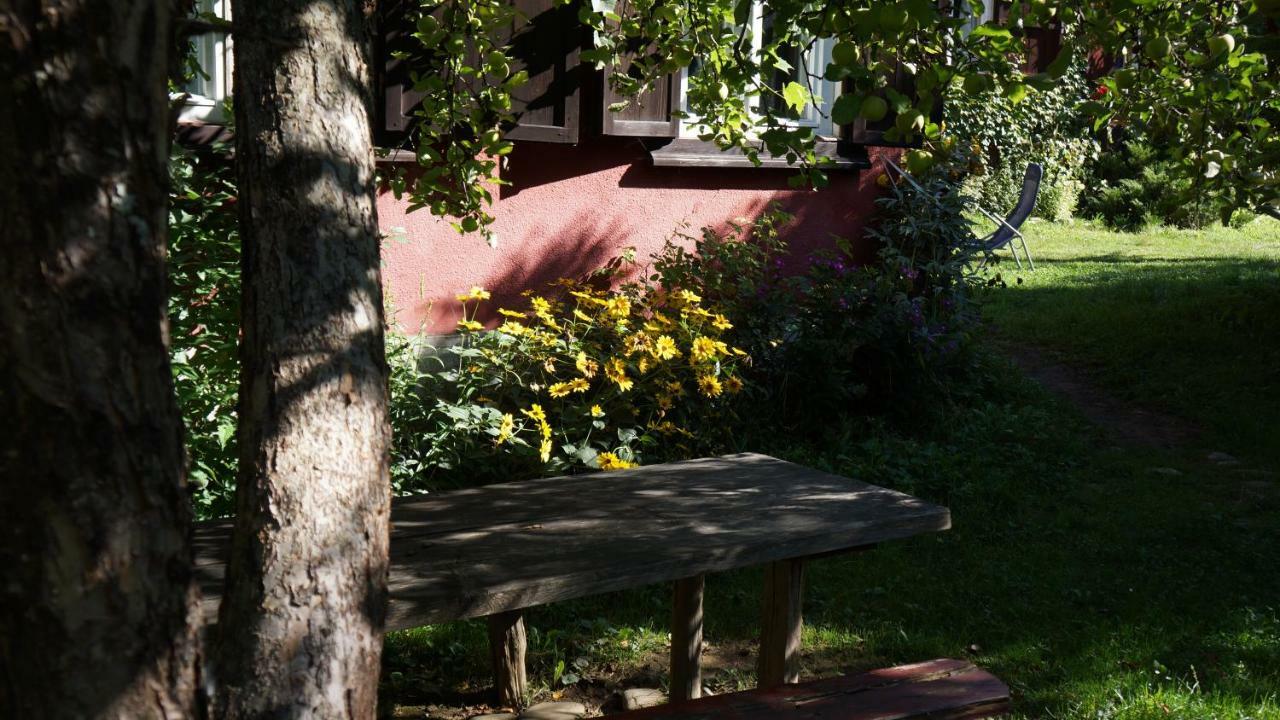 Woodenhouse Maramures Vişeu de Sus Eksteriør bilde