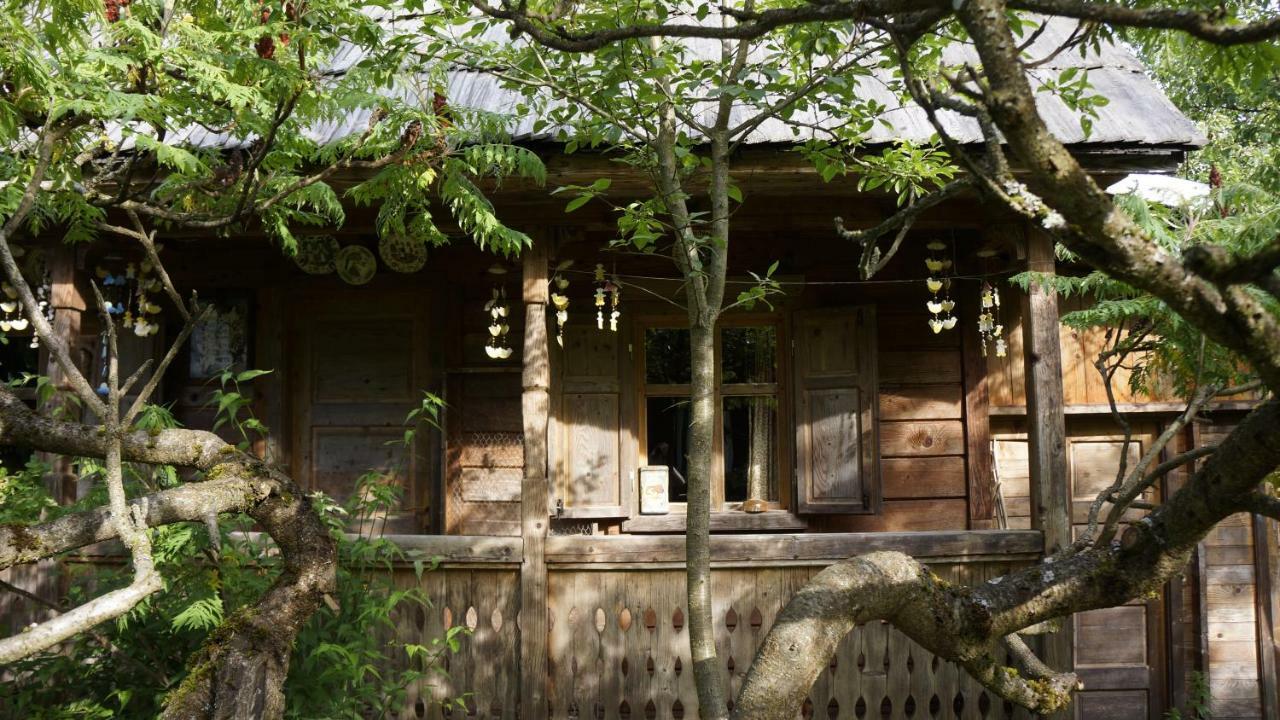 Woodenhouse Maramures Vişeu de Sus Eksteriør bilde
